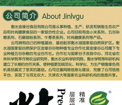 沃野金绿谷，匠心黄金茶 探寻河北大地的谷物馈赠