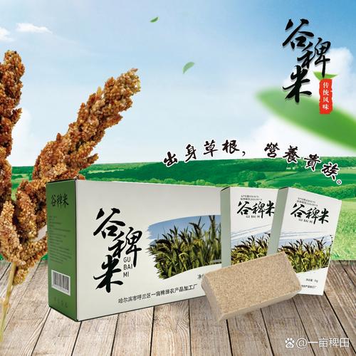 东北的谷稗也叫食用稗或栽培稗,现在属于比较稀少的谷物,它是早期农作