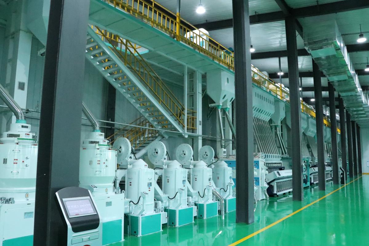小型流水线 plc 怎么选?高性价比型号   正品采购渠道全攻略